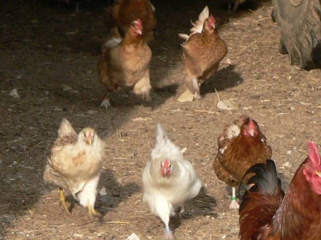 Nichts wie hinaus in die Freiheit !!!