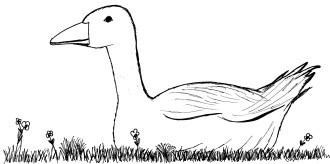 das ist fr eine Gans wie Urlaub auf dem Bauernhof - einfach schn