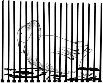 Gans hinter Giittern - Warum so, Herr Seehofer?